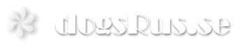dogsRus.se